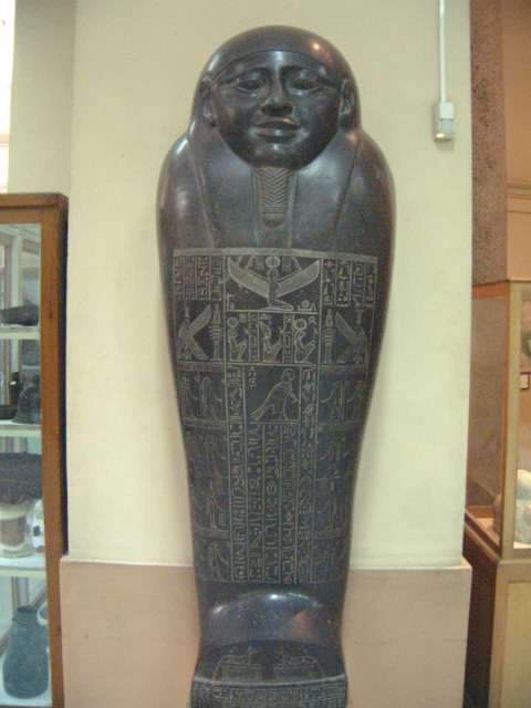 sarcophagous