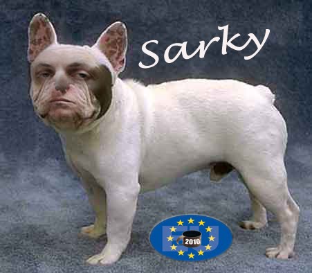 sarky