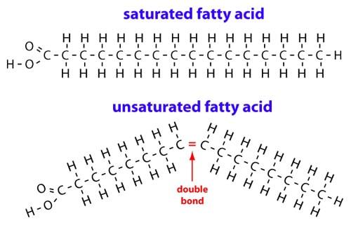 saturated fatty acid