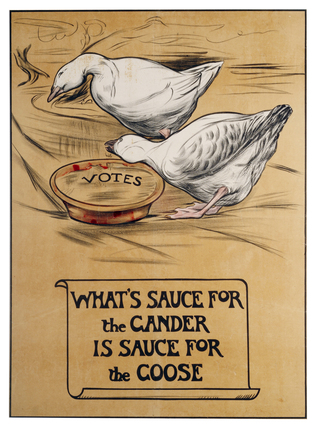 sauce for the goose is sauce for the gander, what's