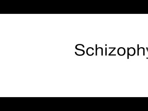 schizophyte