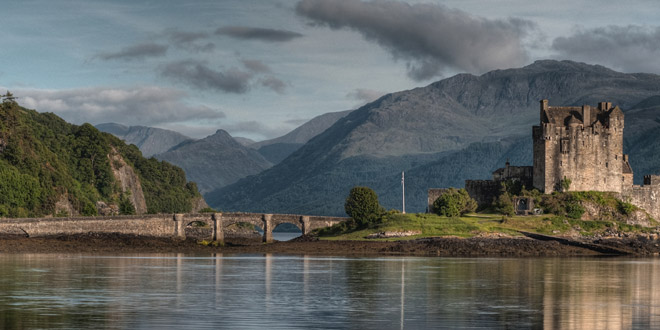 scotch highland