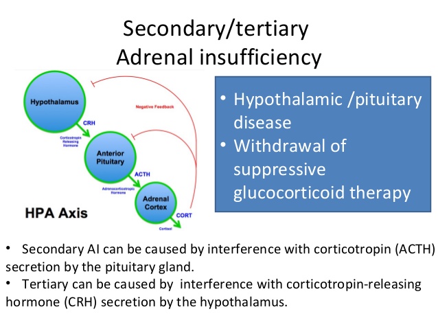 secondary adrenocortical insufficiency