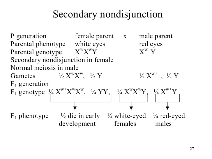 secondary nondisjunction