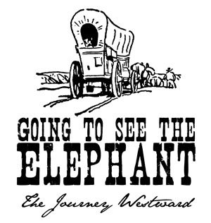 see the elephant