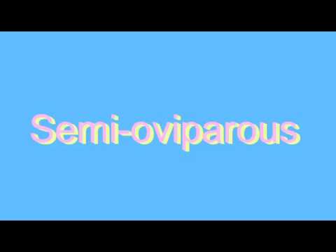 semioviparous
