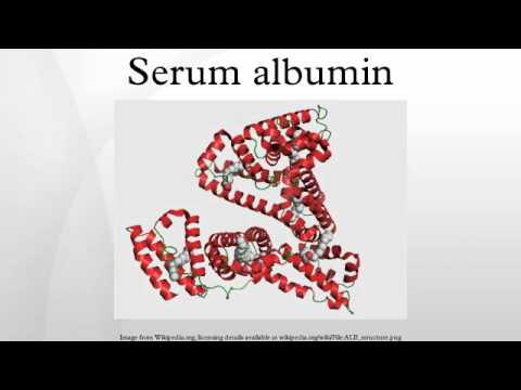 serum albumin