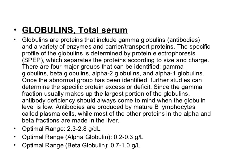 serum globulin