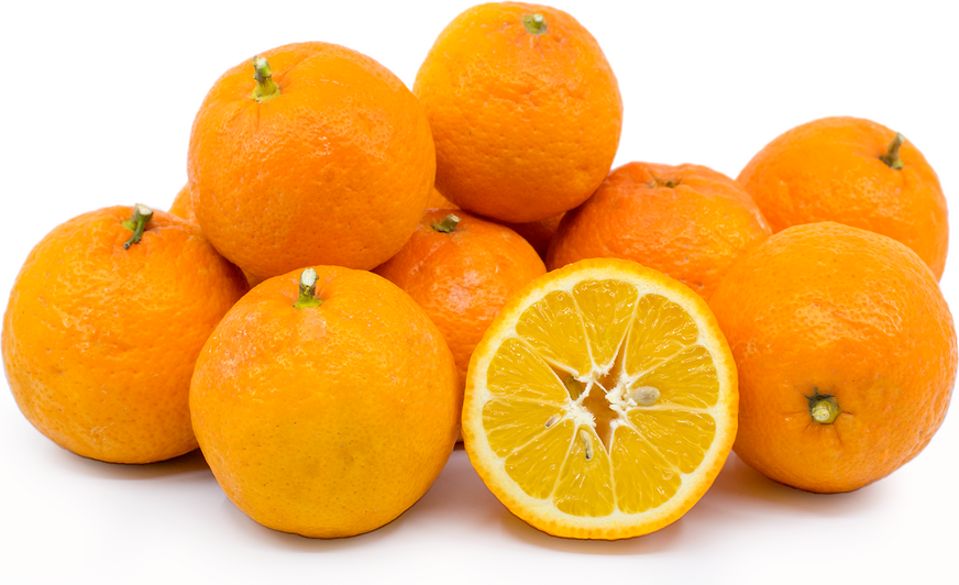 seville orange