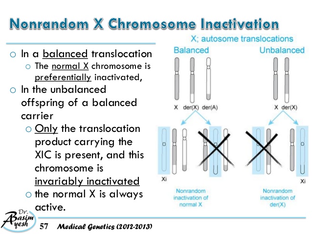 sex chromosome imbalance