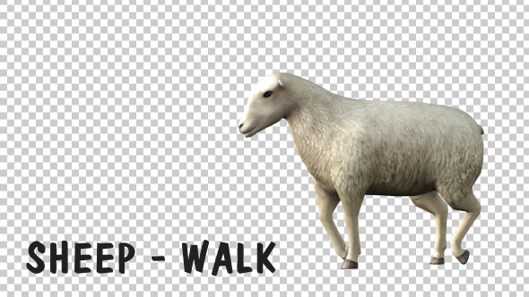 sheepwalk