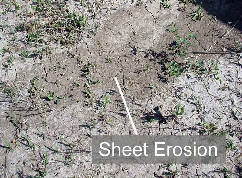 sheet erosion