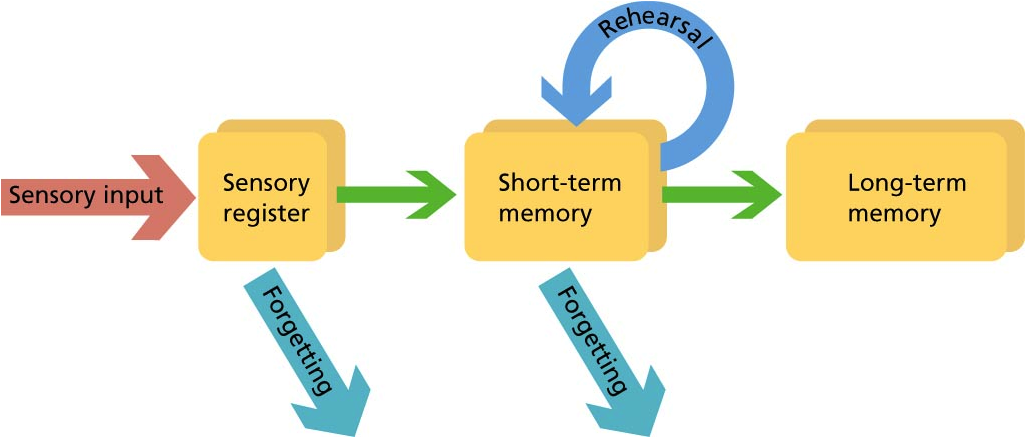 short-term memory