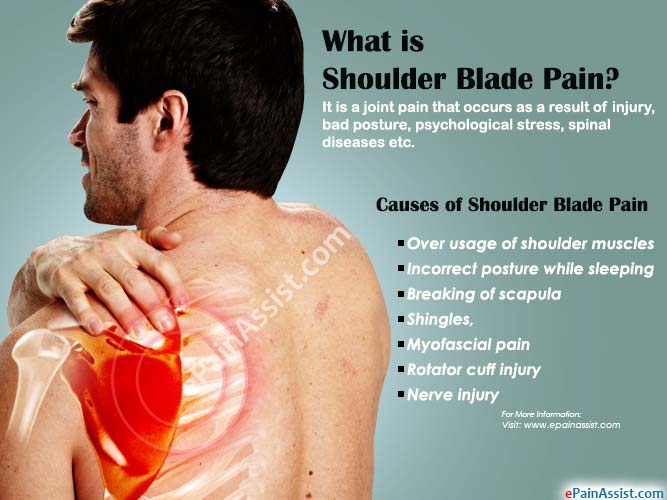 shoulder blade
