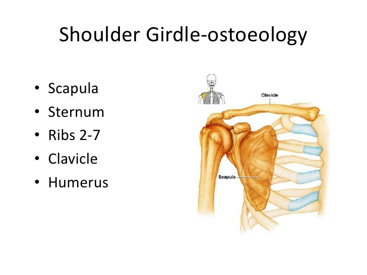 shoulder-girdle syndrome