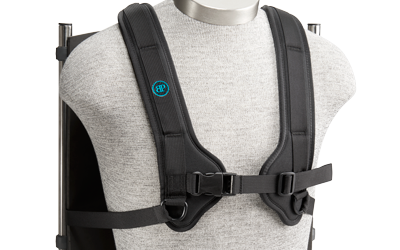 shoulder harness