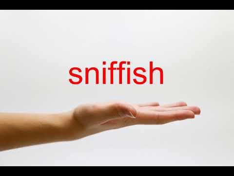 sniffish
