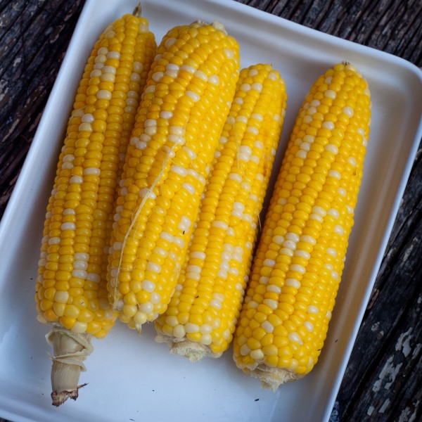 table corn