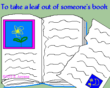 take a leaf out of someone's book