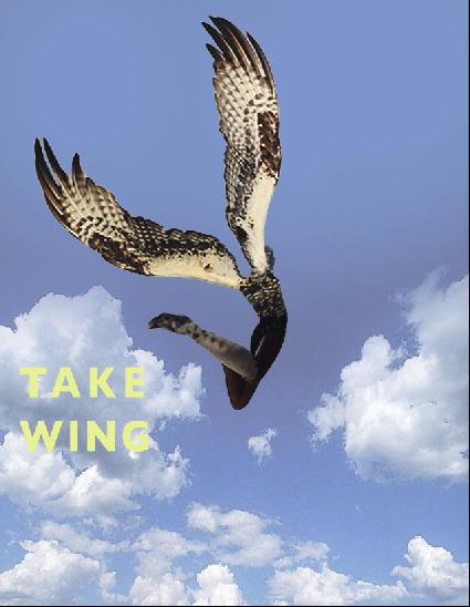 take wing