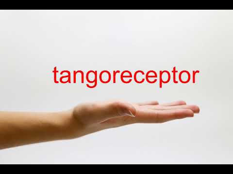 tangoreceptor