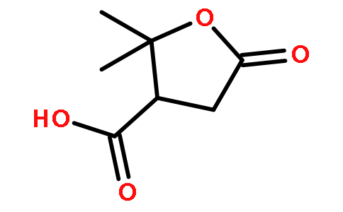 terebic acid