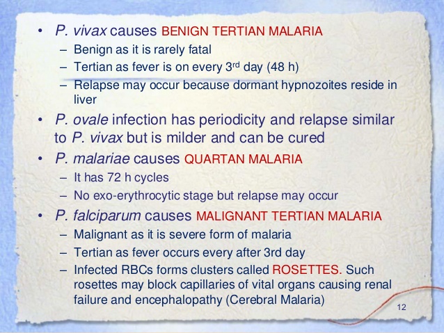 tertian malaria