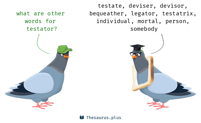 testatrix