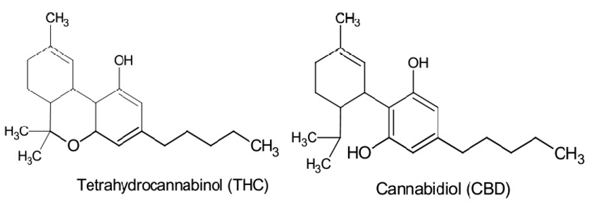 tetrahydrocannabinol