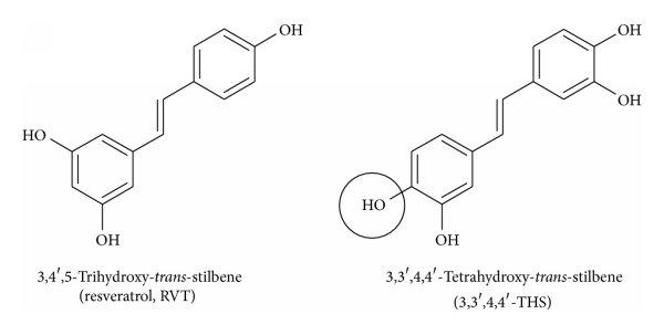 tetrahydroxy