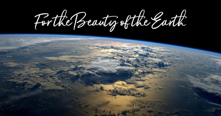 the beauty of