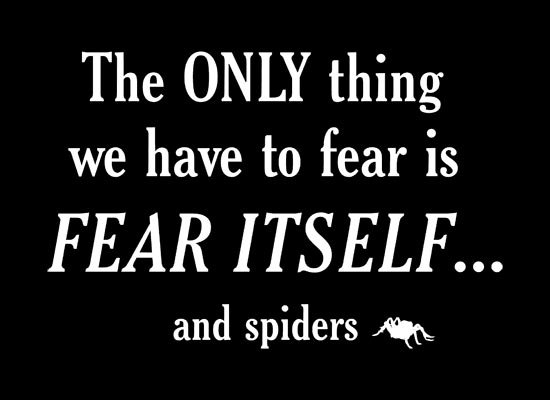 the only thing we have to fear is fear itself