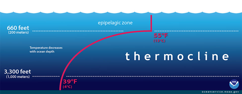 thermocline