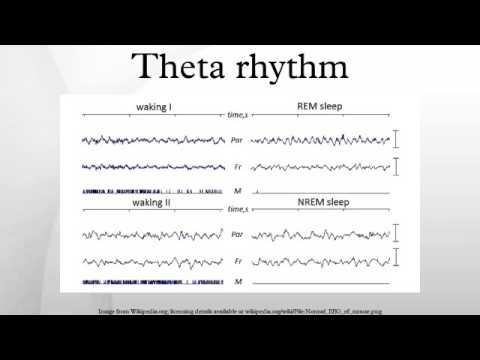 theta rhythm
