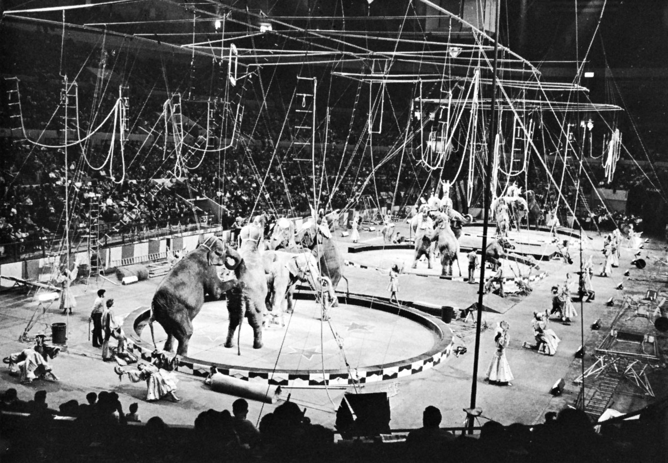 three-ring circus