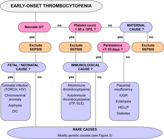 thrombocytasthenia