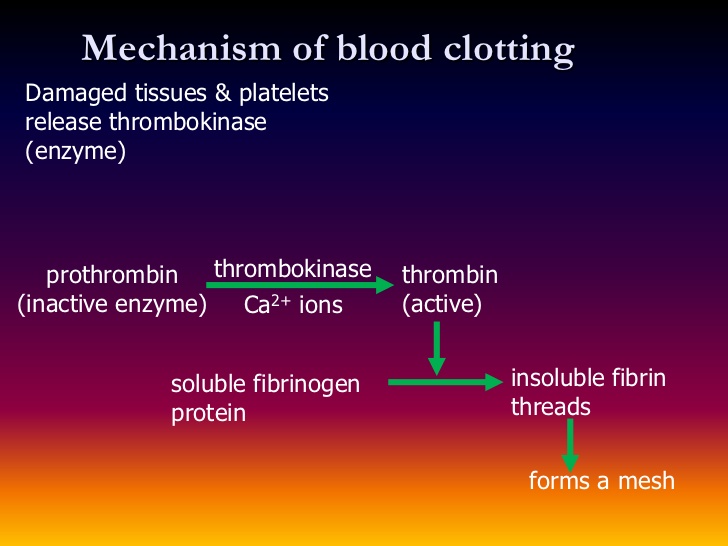 thrombokinase