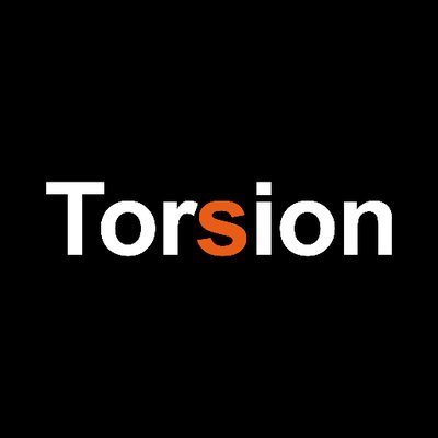 torsion group