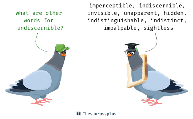 undiscernible