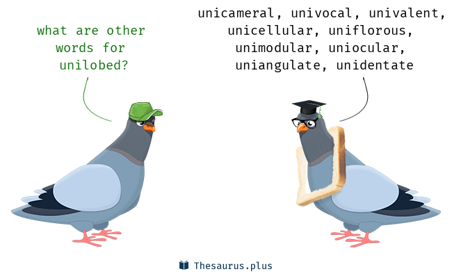unilobed