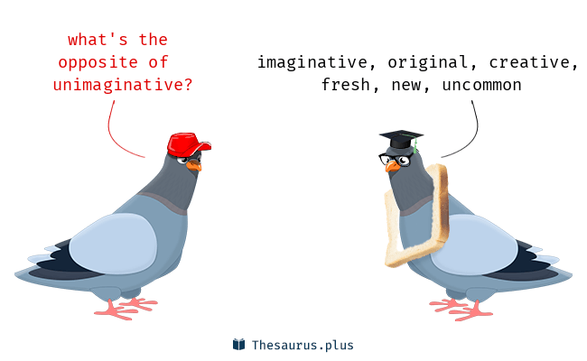 unimaginative
