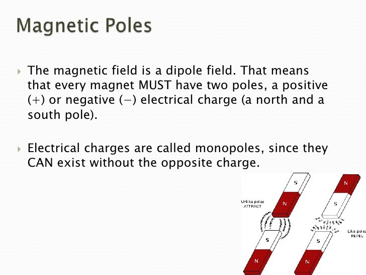 unit magnetic pole