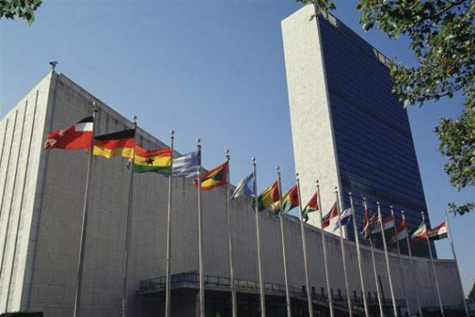 united nations organization