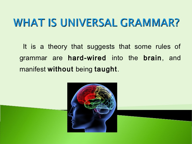 universal grammar