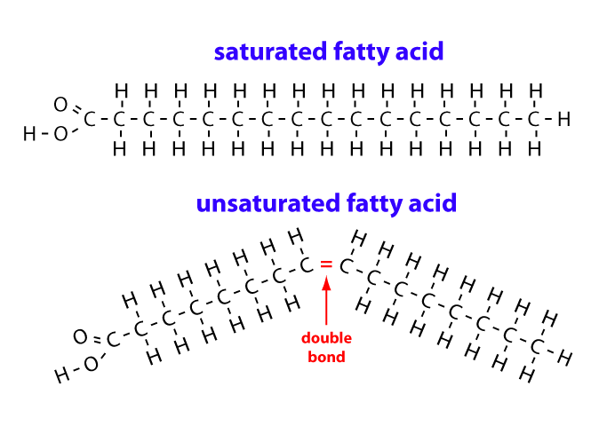 unsaturated fatty acid