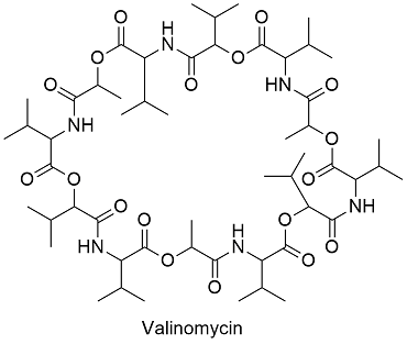 valinomycin