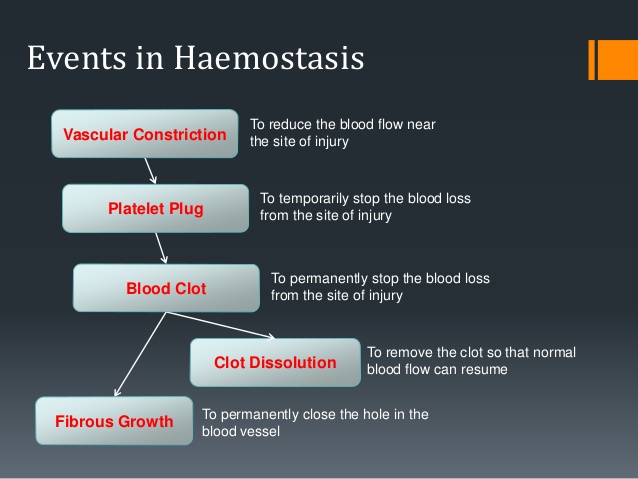 vascular hemophilia