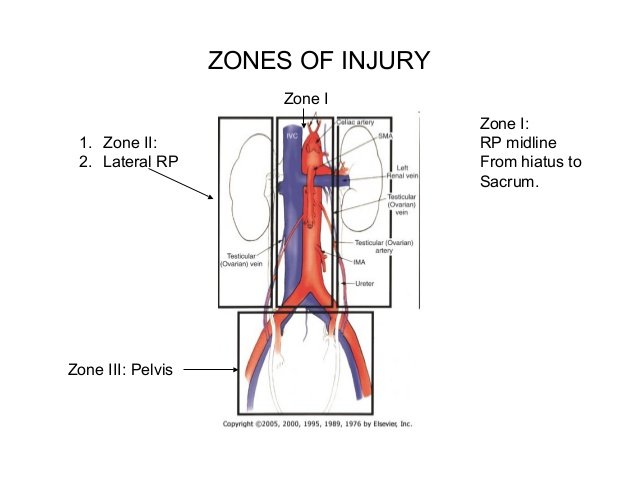 vascular zone