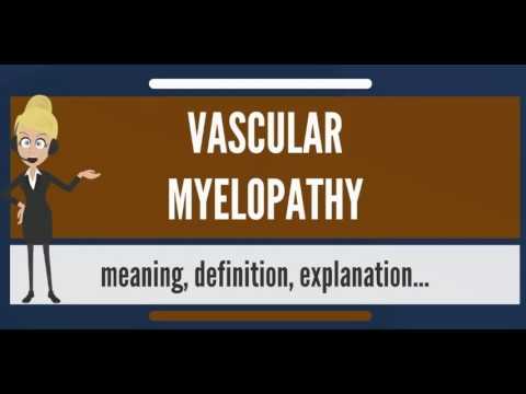 vasculomyelinopathy