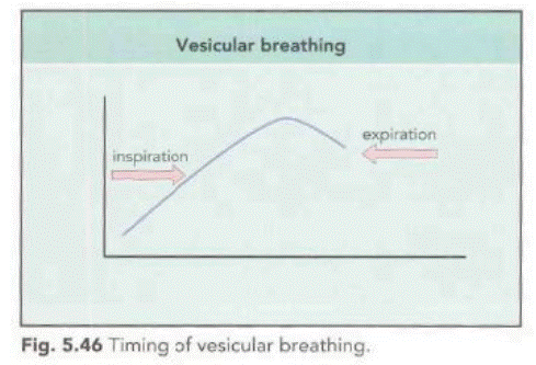 vesicular respiration